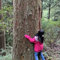 11月26日（日）吉野の森見学バスツアー行程
