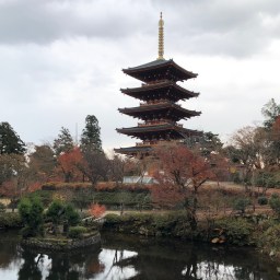 平成の五重塔と古の五重塔