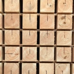 第24回吉野の森見学バスツアー