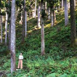 吉野の森バスツアー12月7日開催のお知らせ