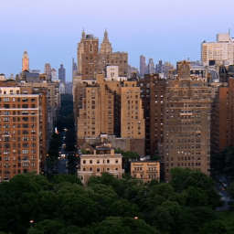 映画「ジェイン・ジェイコブズ：ニューヨーク都市計画革命」