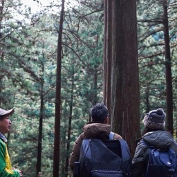 第27回吉野の森見学バスツアー開催のお知らせ